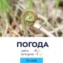 Погода на сегодня