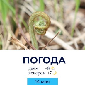Погода на сегодня