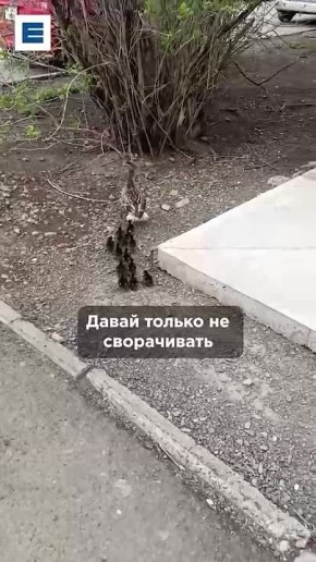 ���������� ����� ������ ����� ��������� �� ������