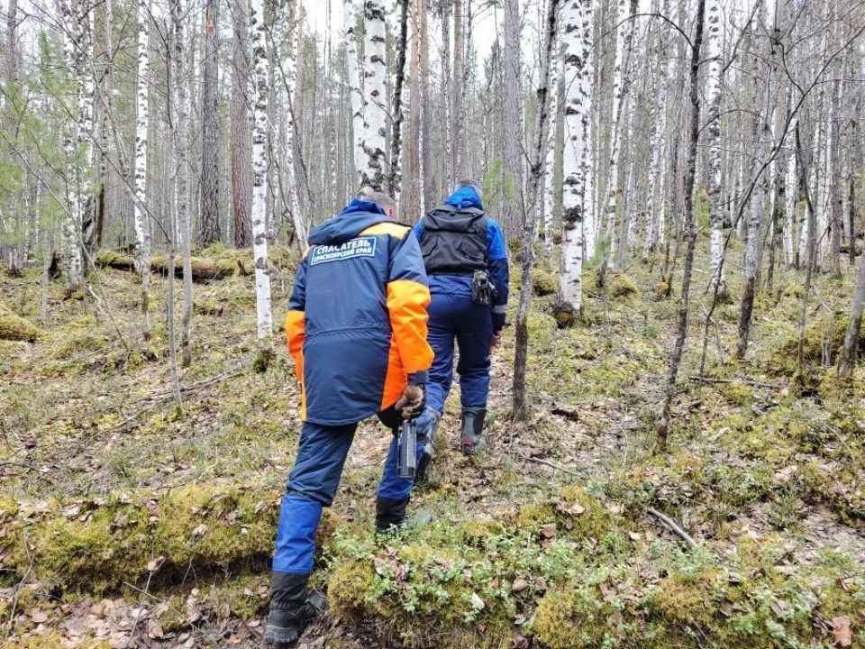 В поисках Усольцевых спасатели обследовали четыре курумника