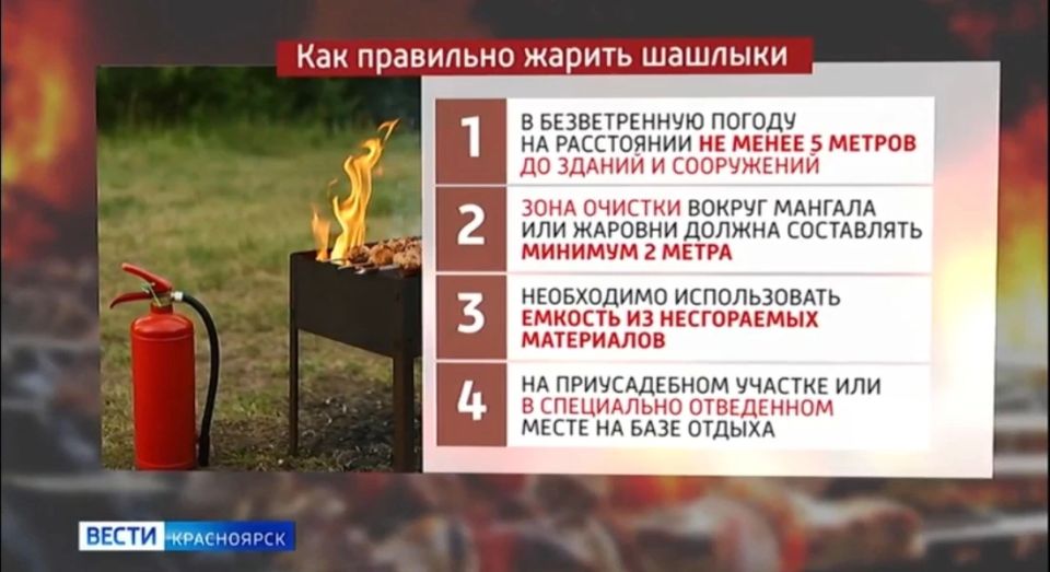 В МЧС напомнили правила безопасности при жарке шашлыка