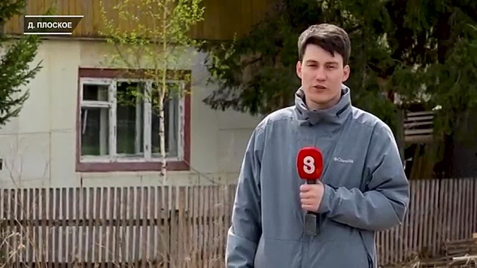 ДИКАЯ СТАЯ. В деревне Плоское под Красноярском стая собак напала на 11-летнюю школьницу — ребёнку пришлось накладывать швы