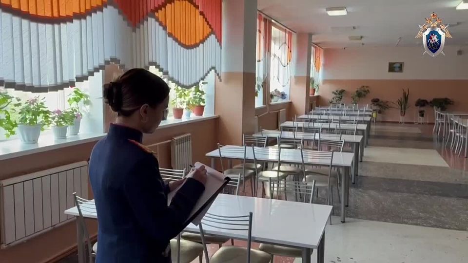 В Кадетском корпусе в Красноярске отравились 33 ребёнка