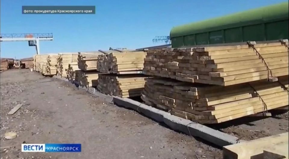 Предпринимателей из Красноярска осудят за контрабанду леса на сумму в 100 миллионов рублей