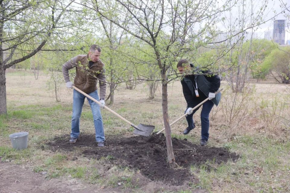 Михаил Котюков: Высадили яблони на Аллее памяти в Татышев-парке вместе с участниками программы «Сибирский характер» Михаил Котюков: Высадили яблони на Аллее памяти в Татышев-парке вместе с участниками программы «Сибирский характер»
