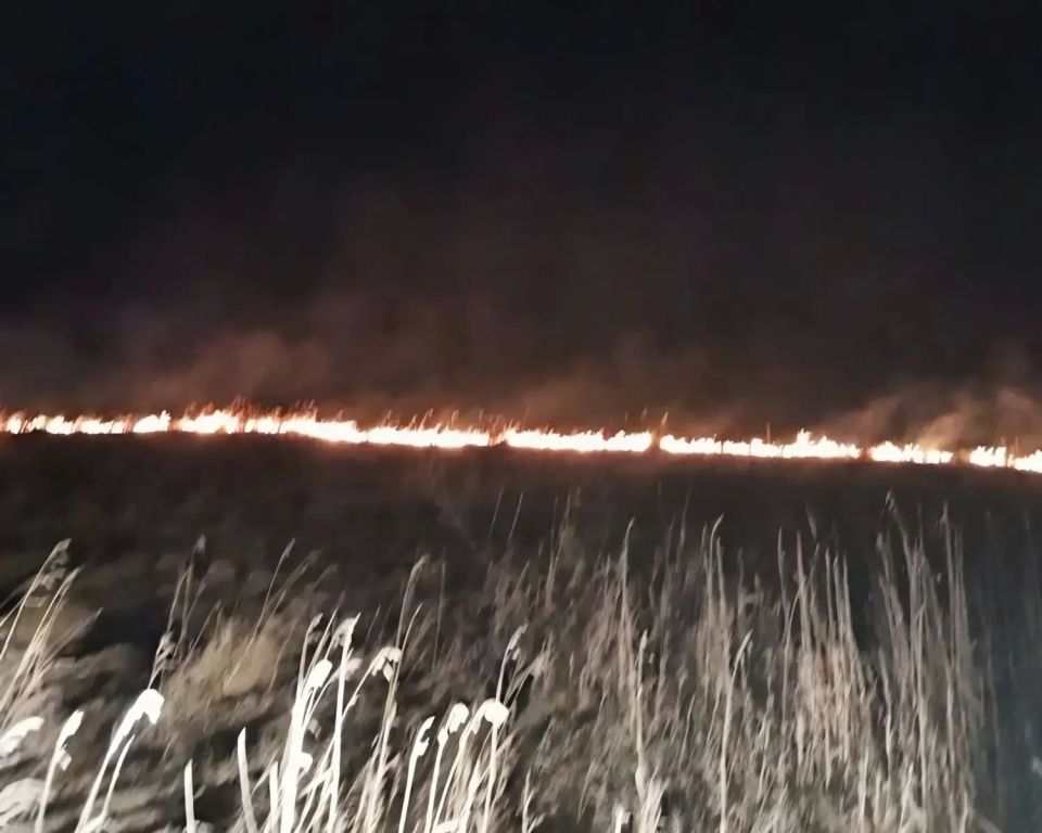 Камера помогла спасти лес от пожара в Канском округе Камера помогла спасти лес от пожара в Канском округе