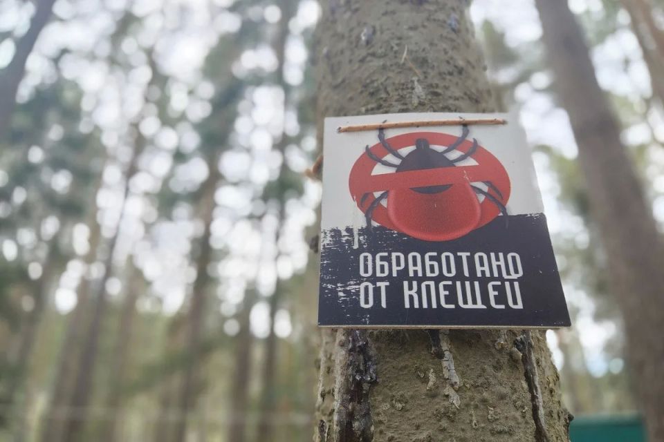В Красноярске от клещей за неделю обработали 60 га парков и скверов
