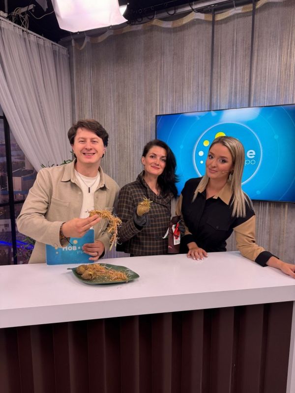 Май не радует теплом, пора ли сажать картофель?