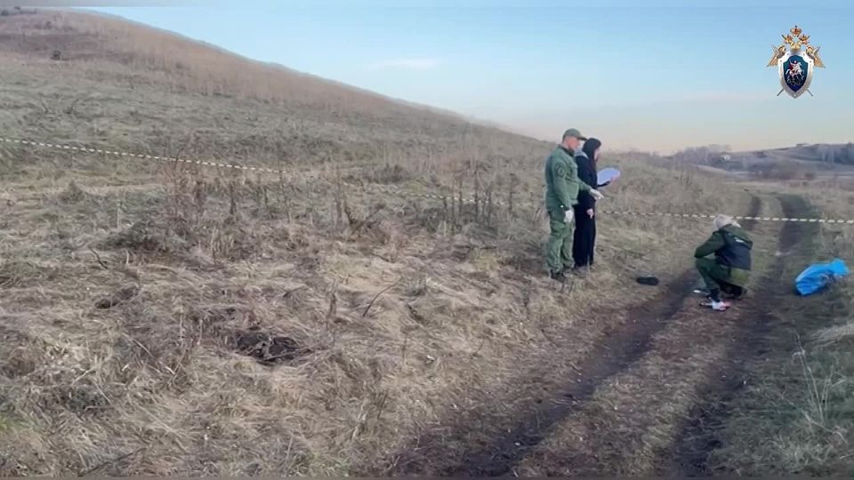 В Красноярске арестовали имущество общественницы после гибели людей от укусов собак