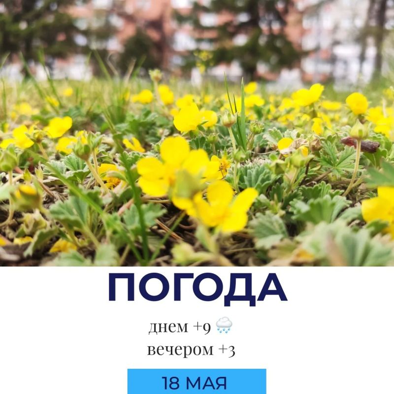 Погода на сегодня