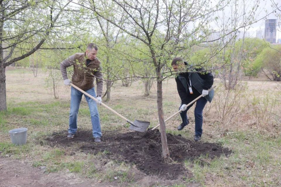 Губернатор края Михаил Котюков вместе с участниками программы «Сибирский характер» высадили 22 сибирских яблони в память об участниках СВО Губернатор края Михаил Котюков вместе с участниками программы «Сибирский характер» высадили 22 сибирских яблони в память об участниках СВО
