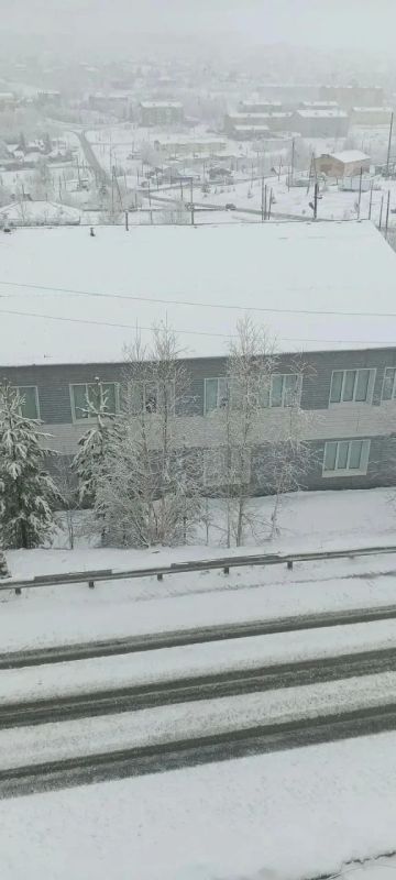 За две недели до лета в Красноярский край пришли снегопады За две недели до лета в Красноярский край пришли снегопады