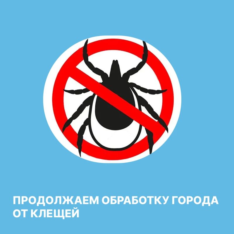 + 60 гектаров территории Красноярска обработали от клещей
