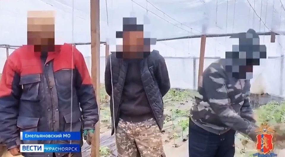 В Емельяновском округе краевая полиция провела рейд против нелегальных мигрантов