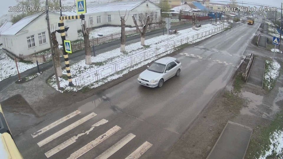 В нескольких округах Красноярского края прошел майский снегопад
