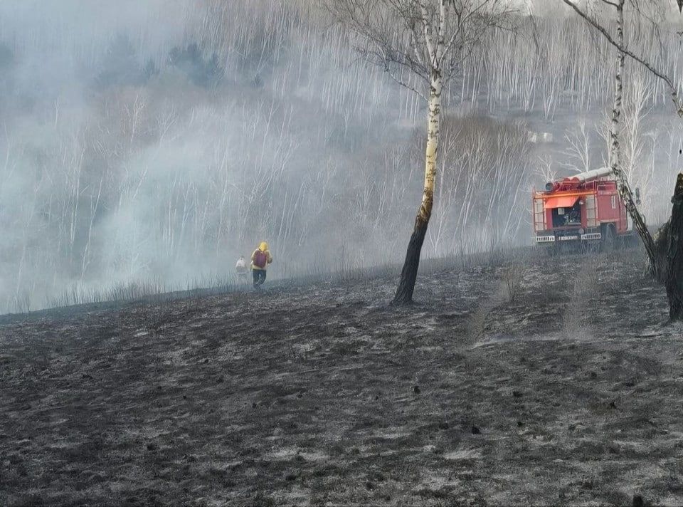 За выходные в Красноярском крае потушили восемь лесных пожаров
