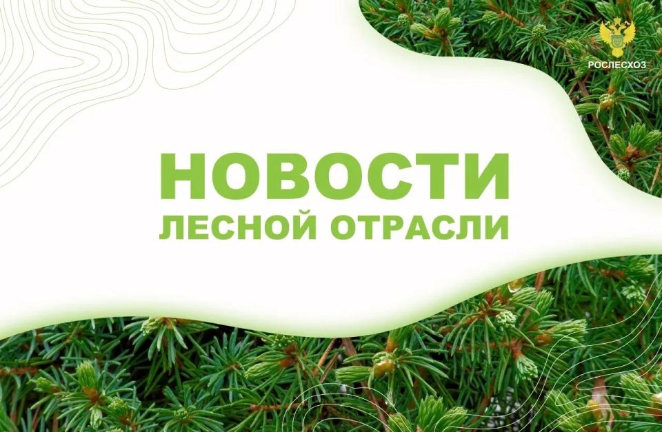 РИАМО: Около 22 тыс саженцев сосны и ели посадили в рамках акции «Сад Памяти» в Химках