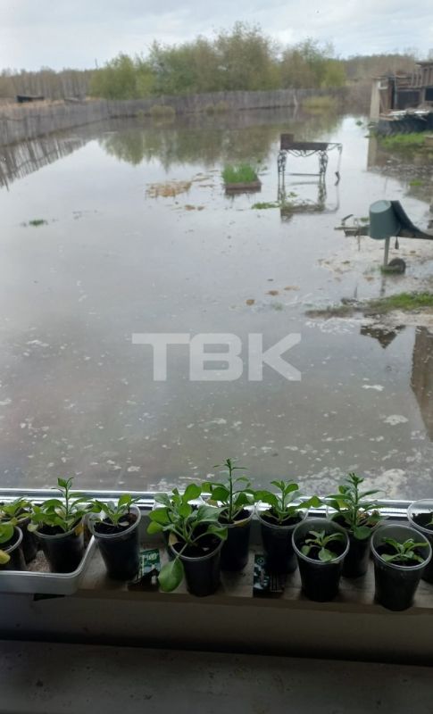 «Люди не спят и караулят воду»: река Чулым вышла из берегов и затопила участки в Балахте «Люди не спят и караулят воду»: река Чулым вышла из берегов и затопила участки в Балахте