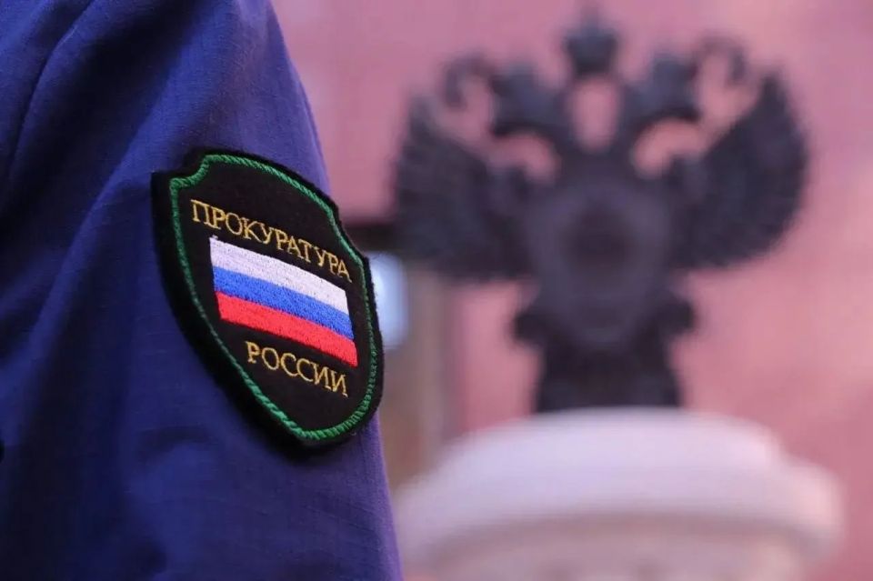 Отцовство без штампа: прокуратура помогла ребенку погибшего участника СВО получить меры социальной поддержки в Назарово