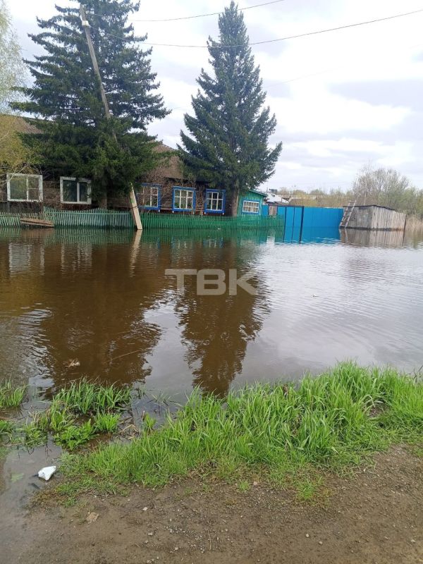 «Люди не спят и караулят воду»: река Чулым вышла из берегов и затопила участки в Балахте «Люди не спят и караулят воду»: река Чулым вышла из берегов и затопила участки в Балахте