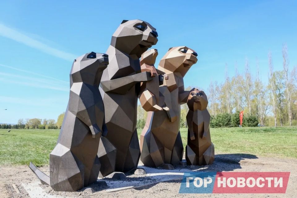 Наш фотограф Дмитрий Шабалин запечатлел необычную семью сусликов в Татышев-парке Наш фотограф Дмитрий Шабалин запечатлел необычную семью сусликов в Татышев-парке