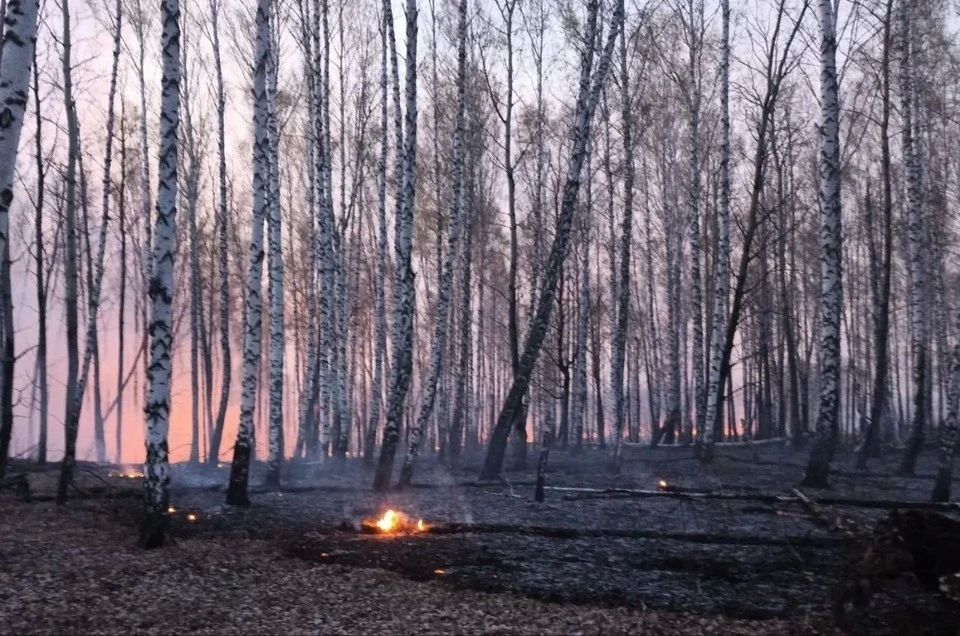Площадь лесных пожаров в Красноярском крае увеличилась до 32,5 га