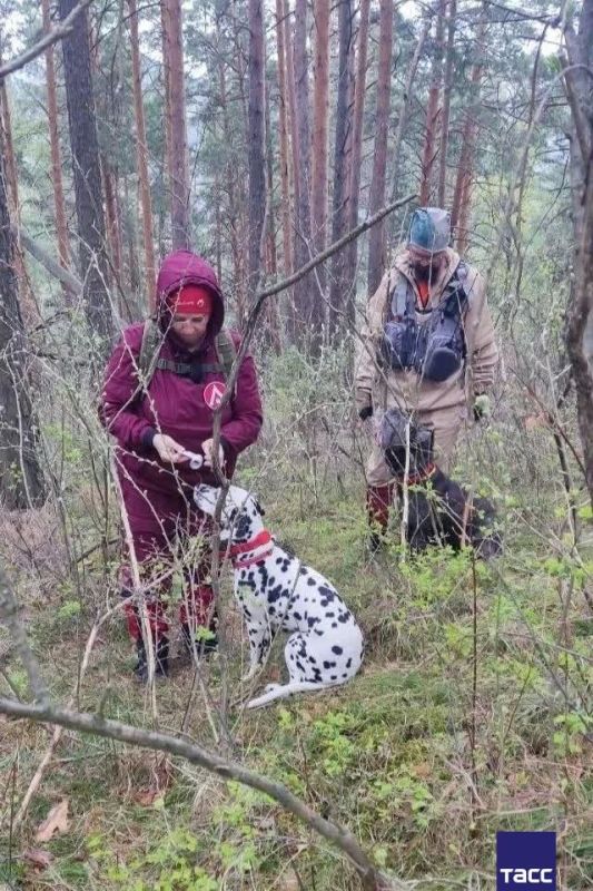Десятки клещей в день снимают волонтеры с себя и собак в поисках экс-спецназовца Виктора Потаенкова, пропавшего в марте в нацпарке «Красноярские столбы» Десятки клещей в день снимают волонтеры с себя и собак в поисках экс-спецназовца Виктора Потаенкова, пропавшего в марте в нацпарке «Красноярские столбы»