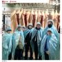 Школьникам провели экскурсию по цеху со свиными тушами в Красноярском крае