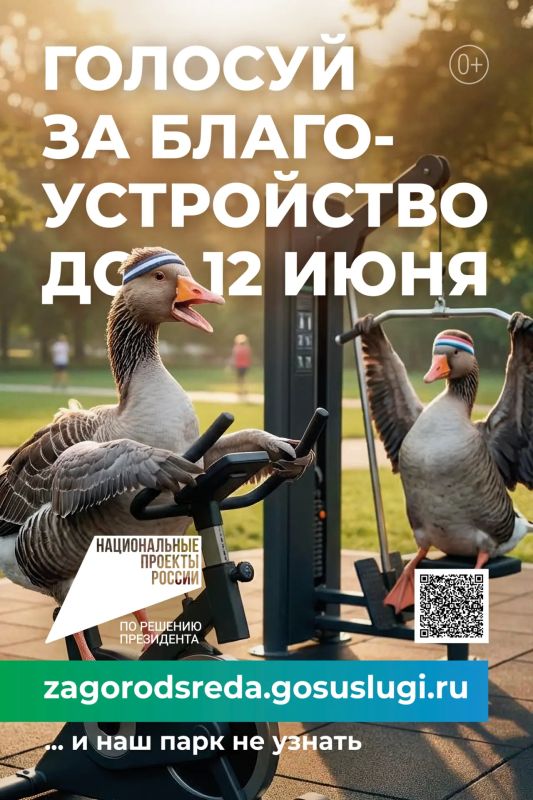 «7 канал Красноярск»: На сайте | ВКонтакте | Дзен | Одноклассники