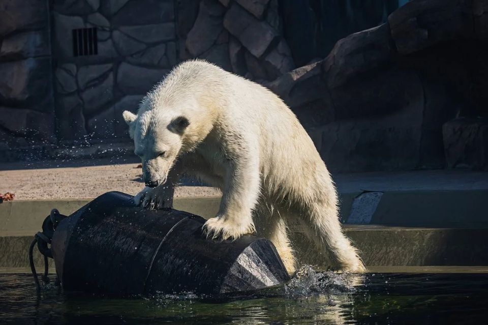 Завершаем день на максимально бодрой ноте! Завершаем день на максимально бодрой ноте!