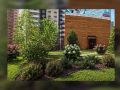 Два двора в Центральном районе Красноярска получат по 100 тысяч рублей на озеленение