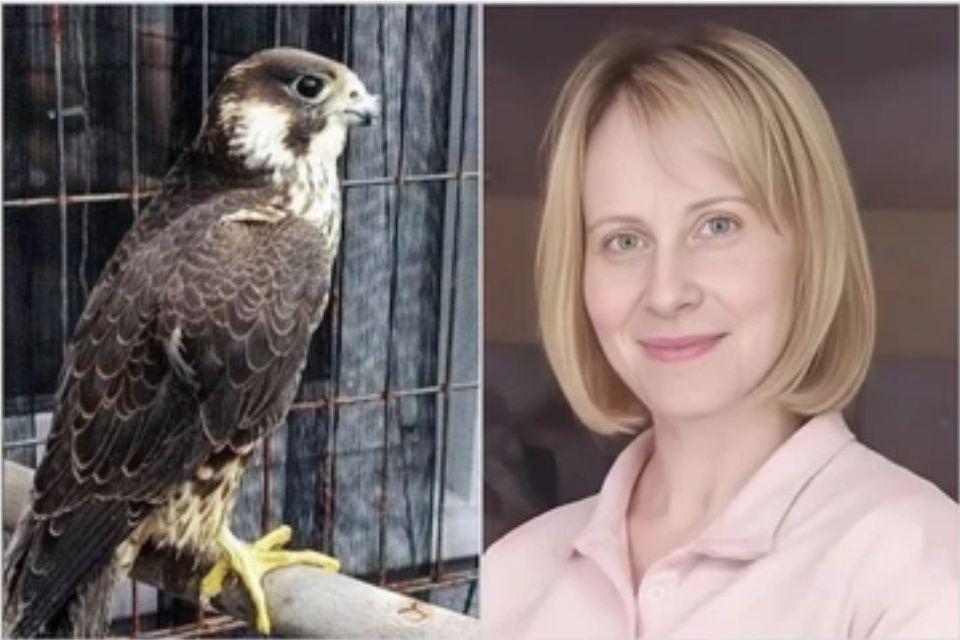 Женщина 10 лет спасала гибнущих птиц, а ей вынесли приговор