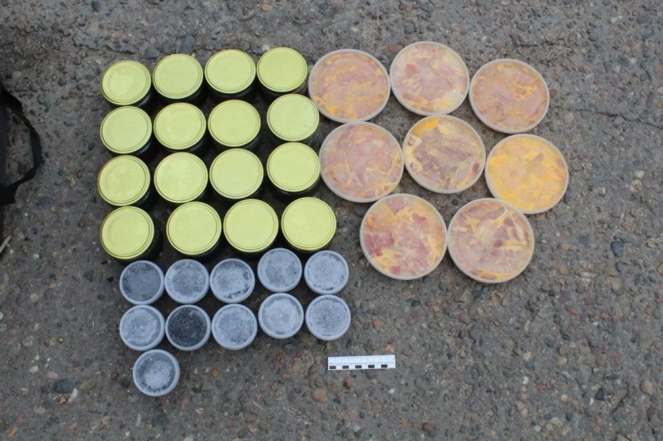 Житель Енисейска предстанет перед судом по обвинению в перевозке и хранении более 200 кг осетрины и 182 банок черной икры