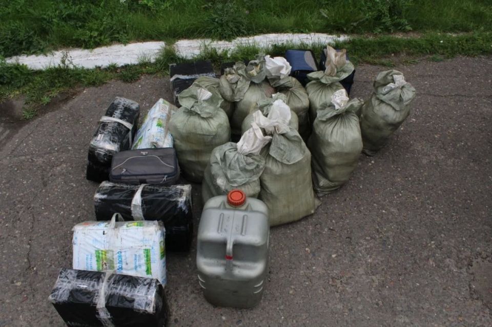 Житель Енисейска предстанет перед судом по обвинению в перевозке и хранении более 200 кг осетрины и 182 банок черной икры Житель Енисейска предстанет перед судом по обвинению в перевозке и хранении более 200 кг осетрины и 182 банок черной икры