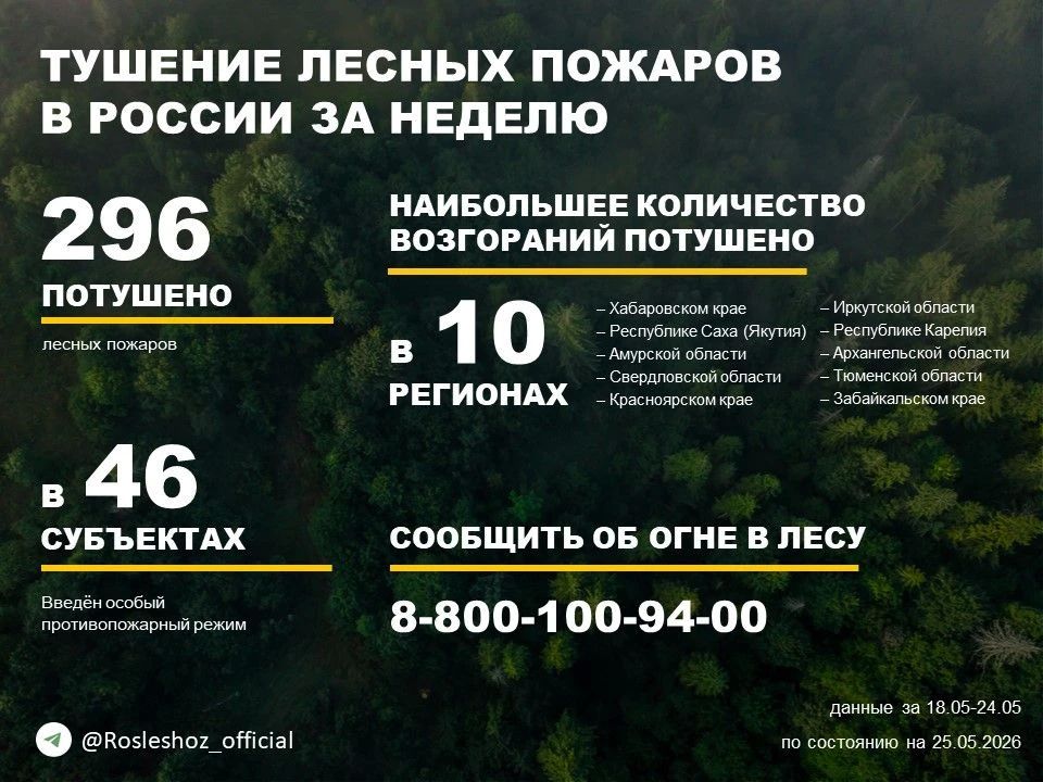 По данным Авиалесоохраны, подведомственной организации Рослесхоза, за прошедшую неделю потушено 296 лесных пожаров в 45 регионах России