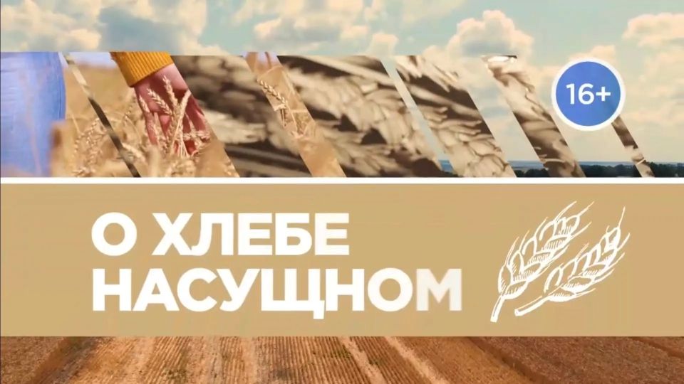 В Красноярском крае набирает обороты посевная компания