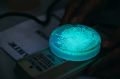 Красноярские ученые создали быстрый тест для определения энцефалита у клеща