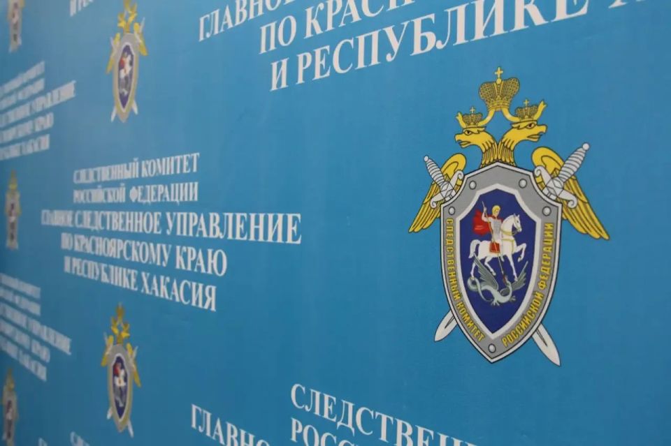 В Красноярске возбуждено уголовное дело по выявленному в соцмедиа сообщению о ненадлежащем исполнении родительских обязанностей местной жительницей в отношении малолетней дочери