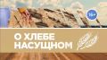 В Красноярском крае набирает обороты посевная компания