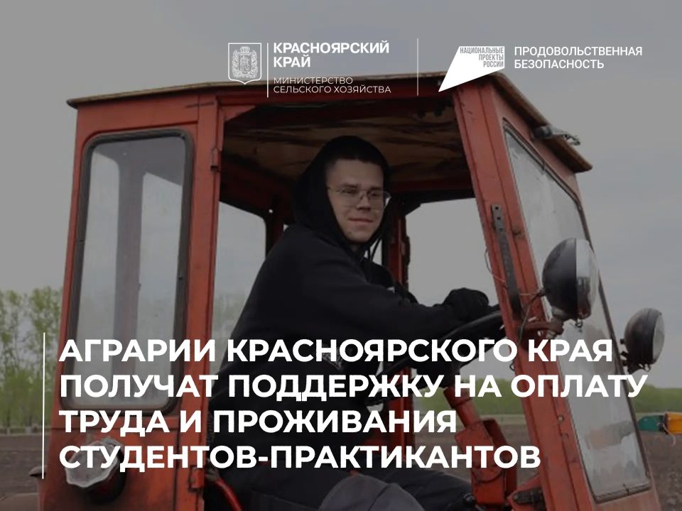 Аграрии Красноярского края получат поддержку на оплату труда и проживания студентов-практикантов