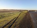 В Боготольском округе водитель подозревается в совершении дорожно-транспортного происшествия, в котором погибла несовершеннолетняя