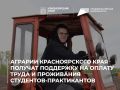 Аграрии Красноярского края получат поддержку на оплату труда и проживания студентов-практикантов