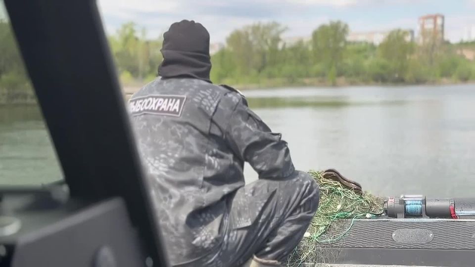 Красноярские полицейские приняли участие в экологической акции «Всероссийский день без сетей»