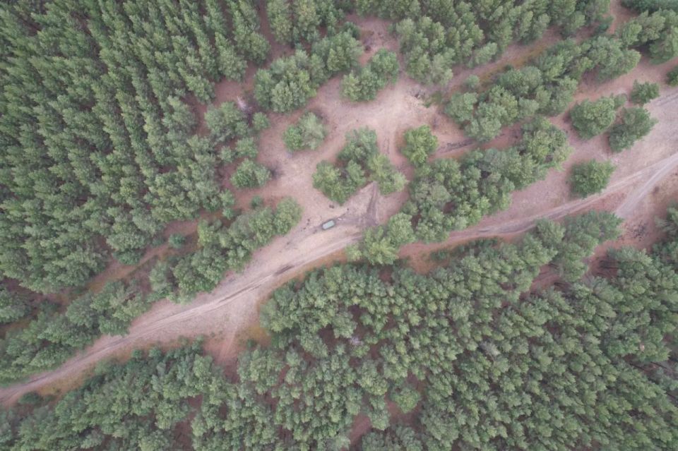 Красноярский край поделился опытом успешного применения БПЛА в лесной сфере Красноярский край поделился опытом успешного применения БПЛА в лесной сфере