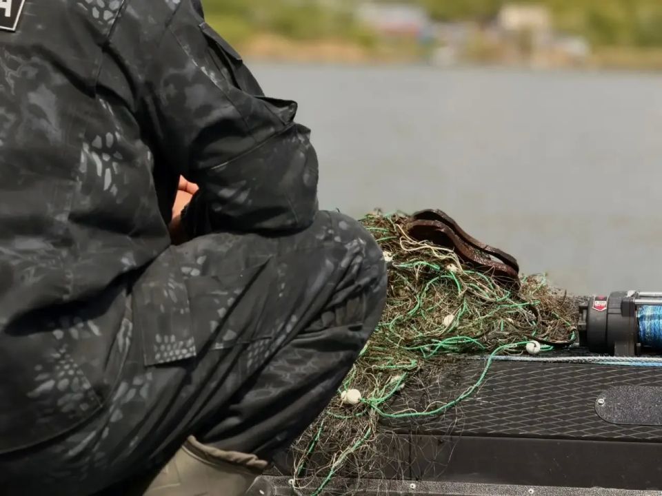 Красноярские полицейские приняли участие в экологической акции «Всероссийский день без сетей» Красноярские полицейские приняли участие в экологической акции «Всероссийский день без сетей»