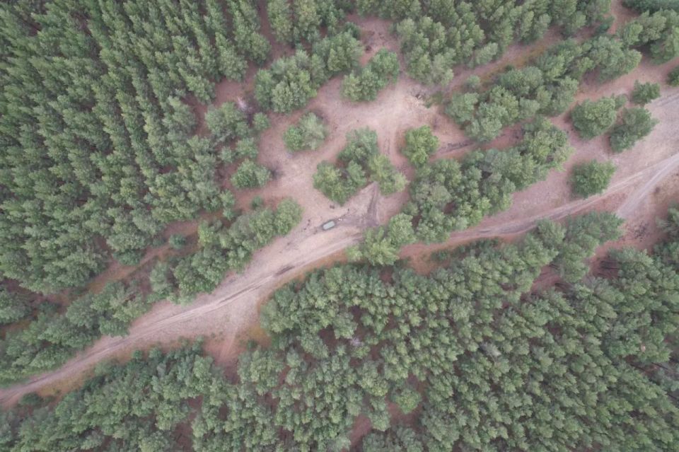 Красноярский край поделился опытом успешного применения БПЛА в лесной сфере Красноярский край поделился опытом успешного применения БПЛА в лесной сфере