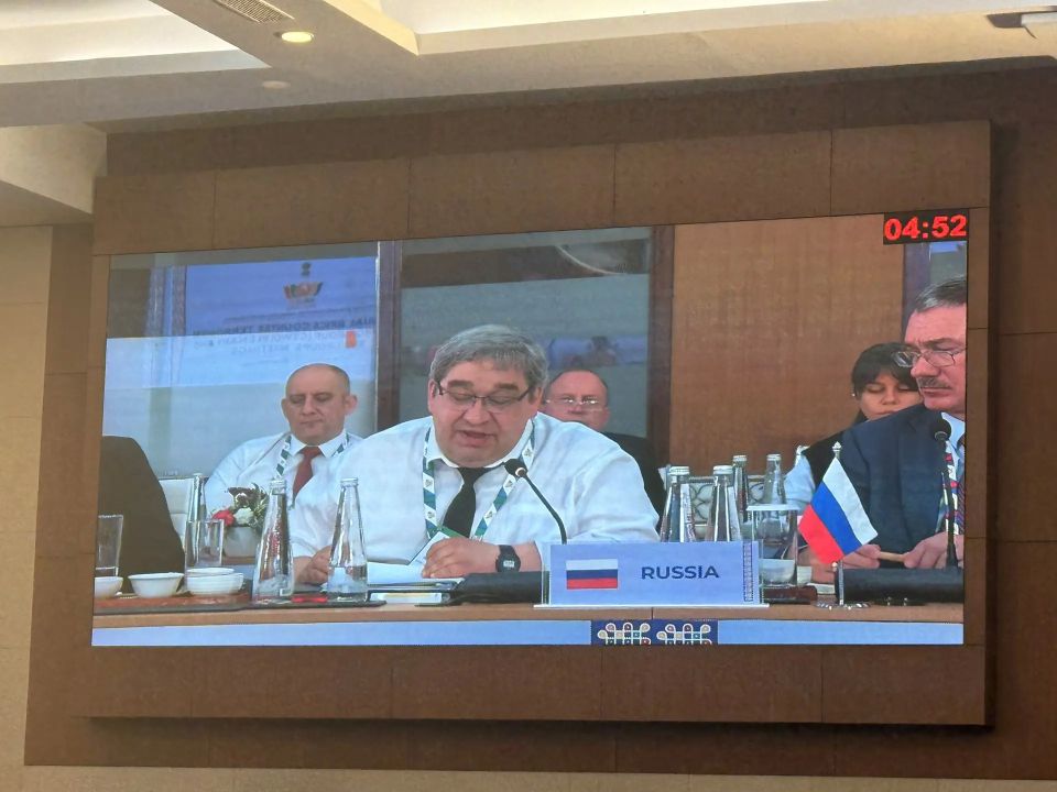 Представитель Росфинмониторинга выступил на пленарном заседании Рабочей группы БРИКС по антитеррору в Индии