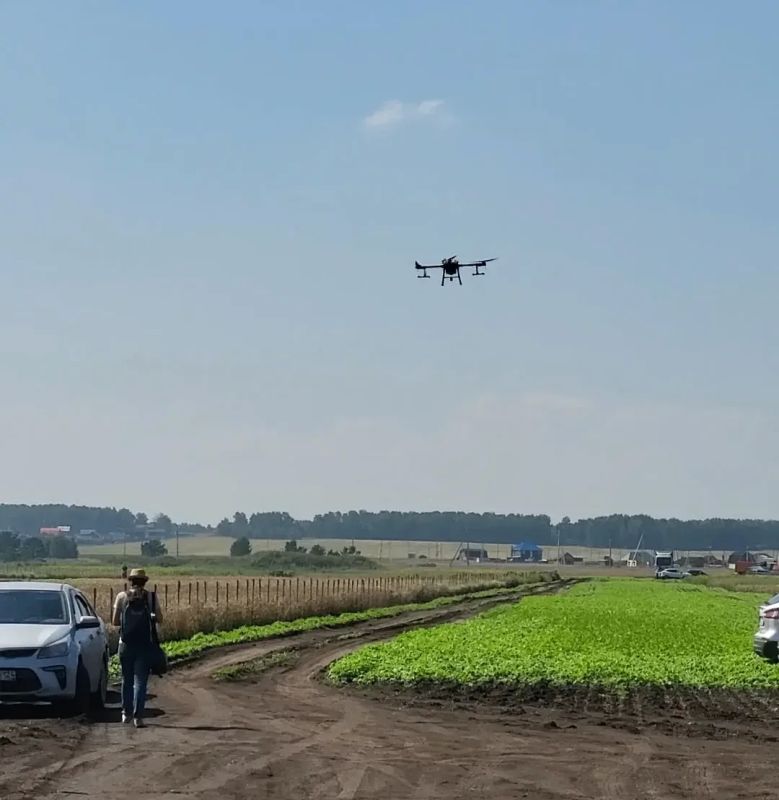 В Красноярском крае упростят использование агродронов