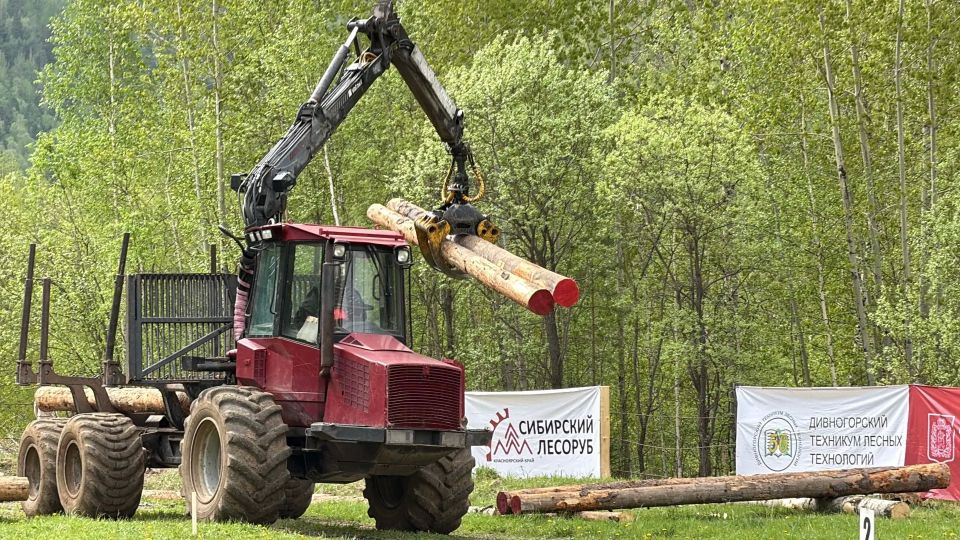 Сегодня на площадке Дивногорского техникума лесных технологий прошли захватывающие соревнования в рамках чемпионата «Сибирский лесоруб» Сегодня на площадке Дивногорского техникума лесных технологий прошли захватывающие соревнования в рамках чемпионата «Сибирский лесоруб»