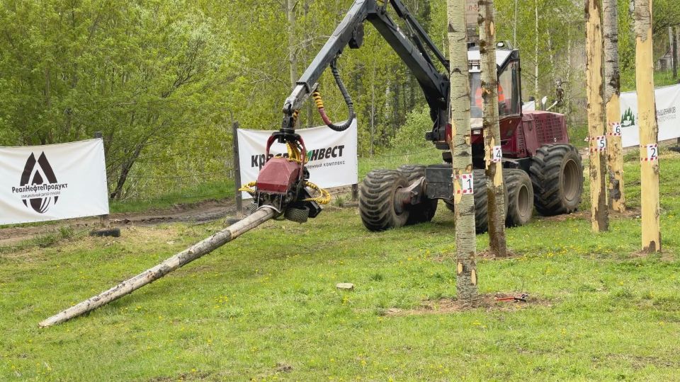 Сегодня на площадке Дивногорского техникума лесных технологий прошли захватывающие соревнования в рамках чемпионата «Сибирский лесоруб» Сегодня на площадке Дивногорского техникума лесных технологий прошли захватывающие соревнования в рамках чемпионата «Сибирский лесоруб»